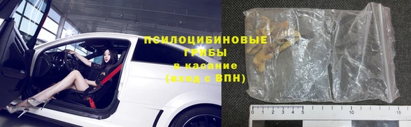 крисы Бронницы