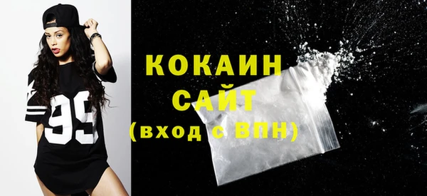 крисы Бронницы