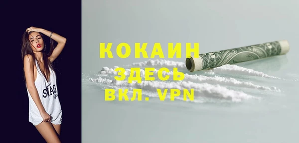 крисы Бронницы