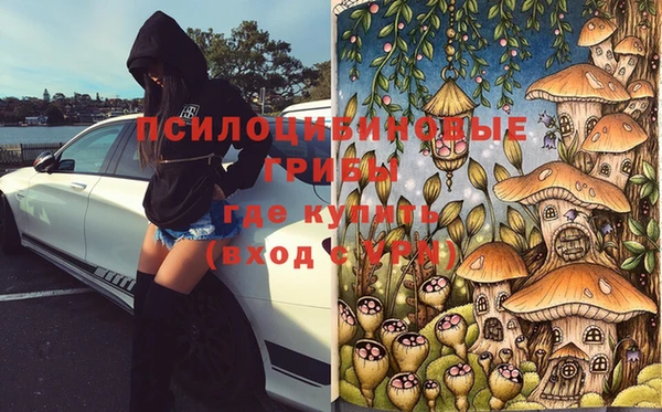 MESCALINE Бородино
