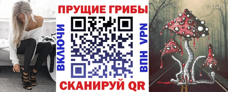 цены Петров Вал Галлюциногенные грибы Cubensis