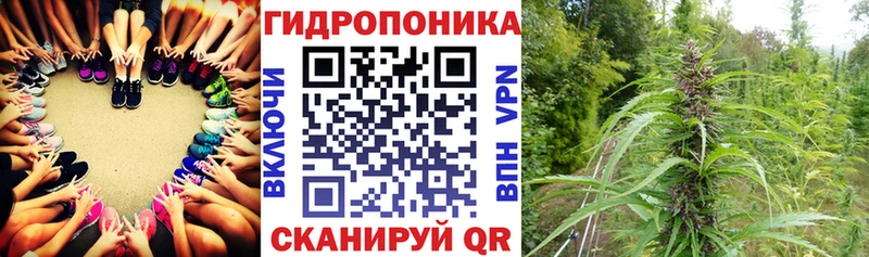 Канабис ГИДРОПОН  где купить наркоту  Петров Вал 
